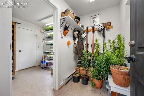 Tiny photo for 1366 Vagabond Creek Drive, Lake George, CO 80827 (MLS # 3097370)