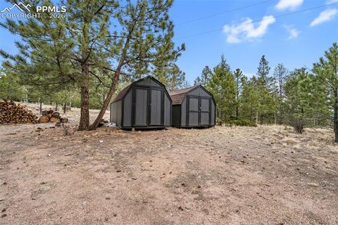 Tiny photo for 1366 Vagabond Creek Drive, Lake George, CO 80827 (MLS # 3097370)