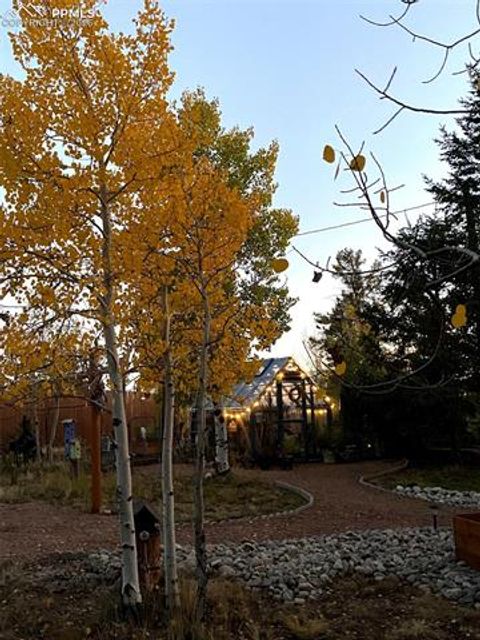 Tiny photo for 1366 Vagabond Creek Drive, Lake George, CO 80827 (MLS # 3097370)