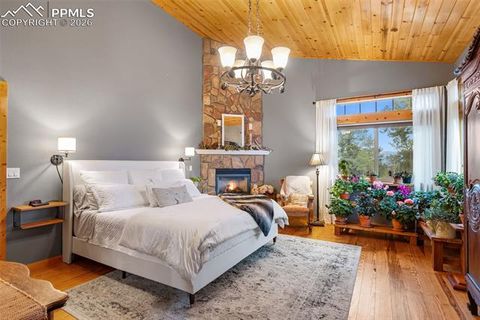 Tiny photo for 1366 Vagabond Creek Drive, Lake George, CO 80827 (MLS # 3097370)