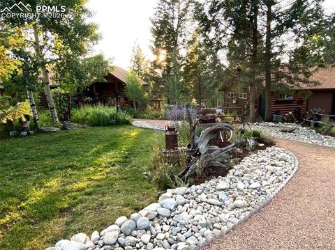 Tiny photo for 1366 Vagabond Creek Drive, Lake George, CO 80827 (MLS # 3097370)
