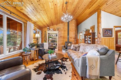 Tiny photo for 1366 Vagabond Creek Drive, Lake George, CO 80827 (MLS # 3097370)