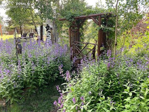 Tiny photo for 1366 Vagabond Creek Drive, Lake George, CO 80827 (MLS # 3097370)