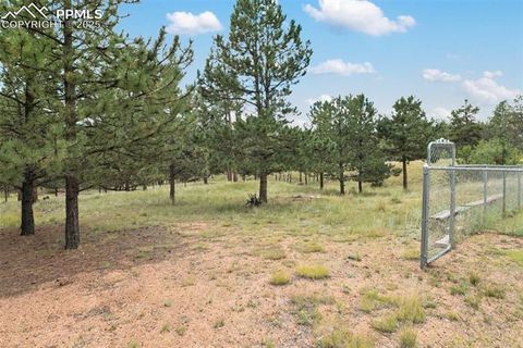 Tiny photo for 1058 Hackamore Drive, Florissant, CO 80816 (MLS # 8937611)