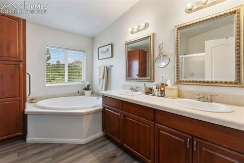 Tiny photo for 1058 Hackamore Drive, Florissant, CO 80816 (MLS # 8937611)
