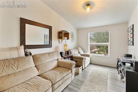 Tiny photo for 1058 Hackamore Drive, Florissant, CO 80816 (MLS # 8937611)
