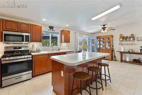 Tiny photo for 1058 Hackamore Drive, Florissant, CO 80816 (MLS # 8937611)