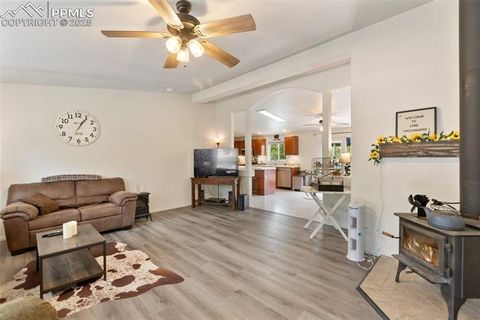 Tiny photo for 1058 Hackamore Drive, Florissant, CO 80816 (MLS # 8937611)