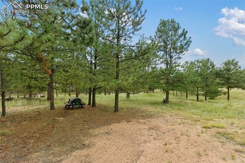 Tiny photo for 1058 Hackamore Drive, Florissant, CO 80816 (MLS # 8937611)