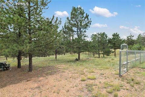 Tiny photo for 1058 Hackamore Drive, Florissant, CO 80816 (MLS # 8937611)