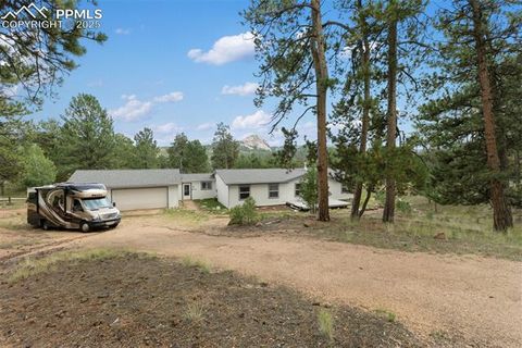 Tiny photo for 1058 Hackamore Drive, Florissant, CO 80816 (MLS # 8937611)
