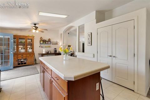 Tiny photo for 1058 Hackamore Drive, Florissant, CO 80816 (MLS # 8937611)
