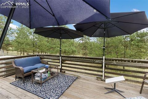 Tiny photo for 1058 Hackamore Drive, Florissant, CO 80816 (MLS # 8937611)