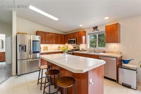 Tiny photo for 1058 Hackamore Drive, Florissant, CO 80816 (MLS # 8937611)
