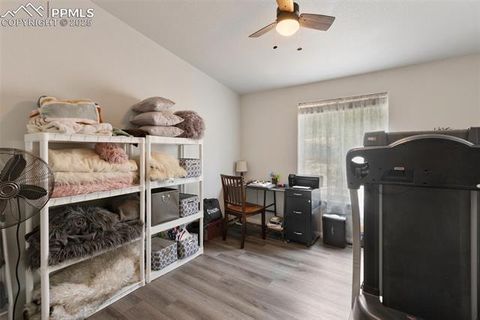 Tiny photo for 1058 Hackamore Drive, Florissant, CO 80816 (MLS # 8937611)