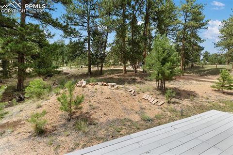 Tiny photo for 1058 Hackamore Drive, Florissant, CO 80816 (MLS # 8937611)