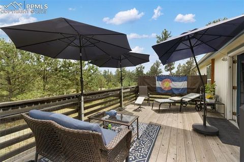 Tiny photo for 1058 Hackamore Drive, Florissant, CO 80816 (MLS # 8937611)