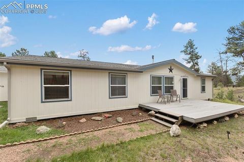 Tiny photo for 1058 Hackamore Drive, Florissant, CO 80816 (MLS # 8937611)