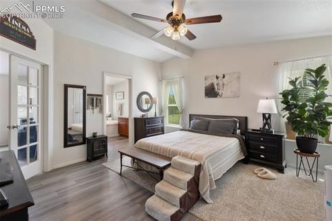 Tiny photo for 1058 Hackamore Drive, Florissant, CO 80816 (MLS # 8937611)