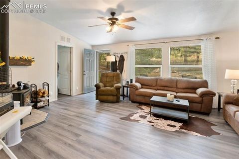 Tiny photo for 1058 Hackamore Drive, Florissant, CO 80816 (MLS # 8937611)