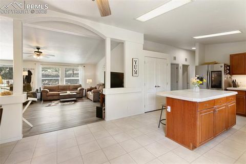 Tiny photo for 1058 Hackamore Drive, Florissant, CO 80816 (MLS # 8937611)