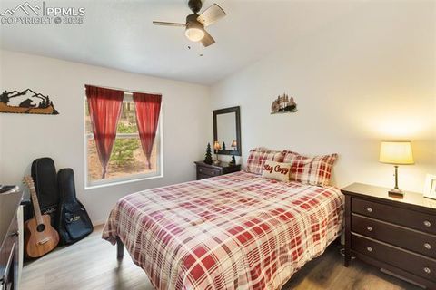 Tiny photo for 1058 Hackamore Drive, Florissant, CO 80816 (MLS # 8937611)