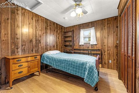 Tiny photo for 223 W Golden Avenue, Cripple Creek, CO 80813 (MLS # 7166206)