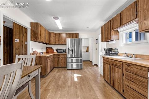 Tiny photo for 223 W Golden Avenue, Cripple Creek, CO 80813 (MLS # 7166206)