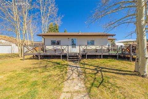 Photo of 223 W Golden Avenue, Cripple Creek, CO 80813 (MLS # 7166206)