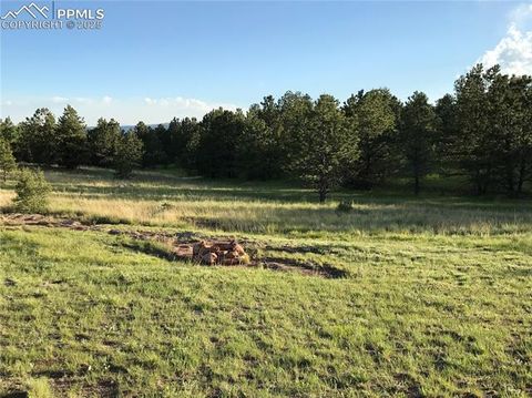 Photo of 314 Arrowhead Drive, Florissant, CO 80816 (MLS # 6697552)