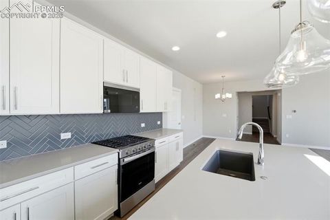 Tiny photo for 10233 Spry Street, Colorado Springs, CO 80924 (MLS # 6552088)