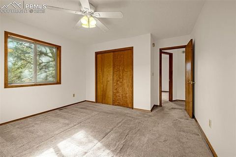 Tiny photo for 1080 Center Street, Woodland Park, CO 80863 (MLS # 7174865)