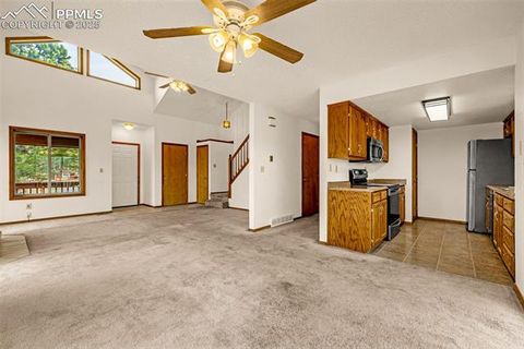 Tiny photo for 1080 Center Street, Woodland Park, CO 80863 (MLS # 7174865)