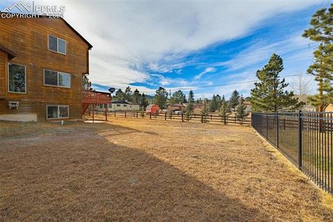 Tiny photo for 1080 Center Street, Woodland Park, CO 80863 (MLS # 7174865)