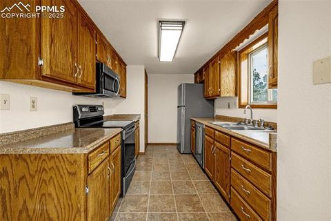 Tiny photo for 1080 Center Street, Woodland Park, CO 80863 (MLS # 7174865)