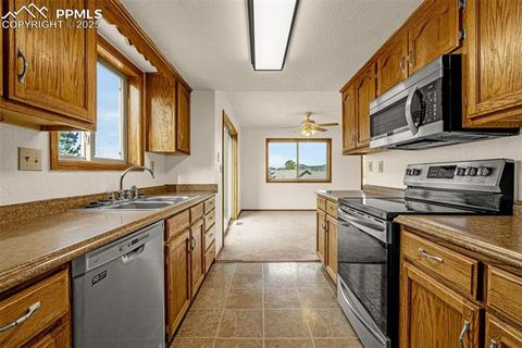 Tiny photo for 1080 Center Street, Woodland Park, CO 80863 (MLS # 7174865)