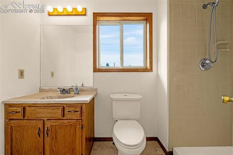 Tiny photo for 1080 Center Street, Woodland Park, CO 80863 (MLS # 7174865)