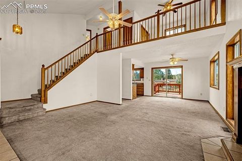 Tiny photo for 1080 Center Street, Woodland Park, CO 80863 (MLS # 7174865)