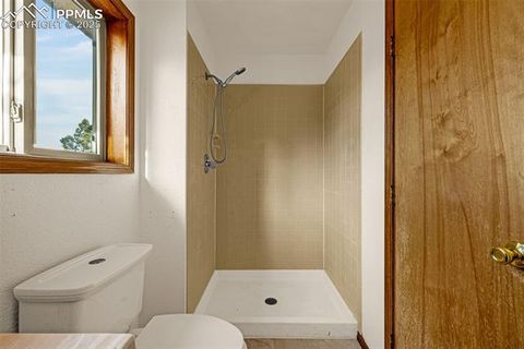 Tiny photo for 1080 Center Street, Woodland Park, CO 80863 (MLS # 7174865)