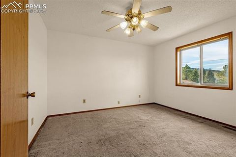 Tiny photo for 1080 Center Street, Woodland Park, CO 80863 (MLS # 7174865)