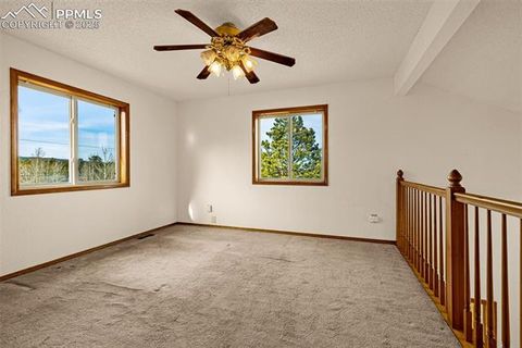 Tiny photo for 1080 Center Street, Woodland Park, CO 80863 (MLS # 7174865)