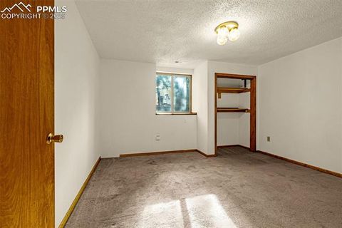 Tiny photo for 1080 Center Street, Woodland Park, CO 80863 (MLS # 7174865)