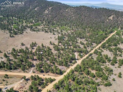 Photo of 3948 S Muley Gulch Drive, Hartsel, CO 80449 (MLS # 1500687)