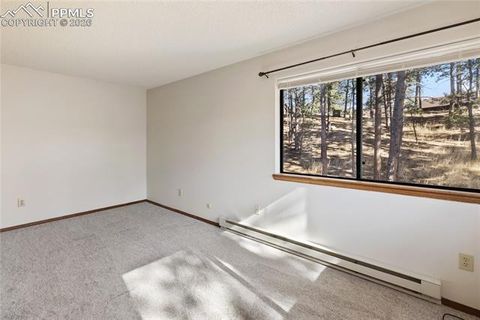 Tiny photo for 570 Manor Court #D, Woodland Park, CO 80863 (MLS # 9195104)