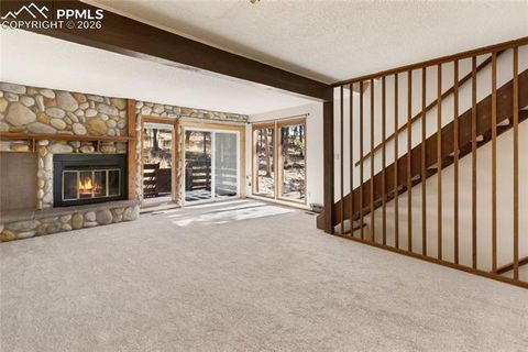 Tiny photo for 570 Manor Court #D, Woodland Park, CO 80863 (MLS # 9195104)