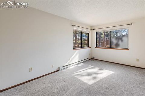 Tiny photo for 570 Manor Court #D, Woodland Park, CO 80863 (MLS # 9195104)