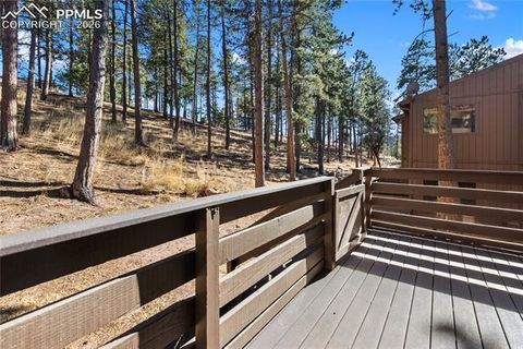 Tiny photo for 570 Manor Court #D, Woodland Park, CO 80863 (MLS # 9195104)