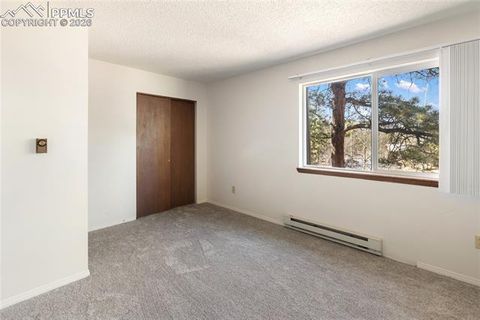 Tiny photo for 570 Manor Court #D, Woodland Park, CO 80863 (MLS # 9195104)