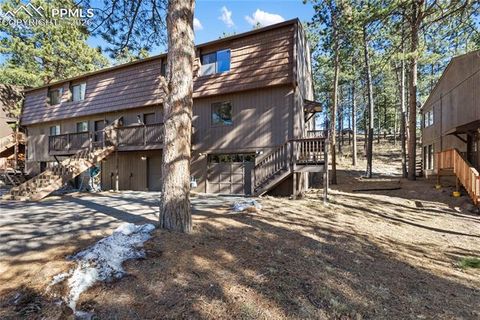 Tiny photo for 570 Manor Court #D, Woodland Park, CO 80863 (MLS # 9195104)