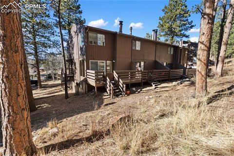 Tiny photo for 570 Manor Court #D, Woodland Park, CO 80863 (MLS # 9195104)